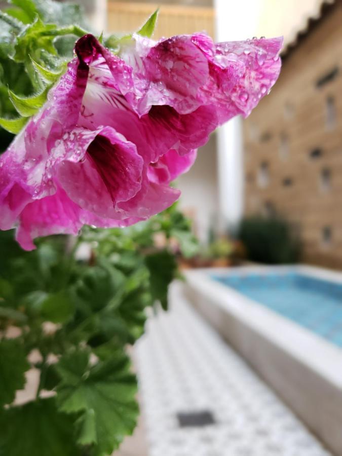 Casa Carmen Hotell San Cristóbal de Las Casas Eksteriør bilde